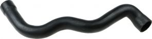 Gates 05-3387 -  -