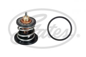 Gates TH60380G1 - Termostat -