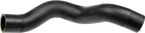Gates 05-4593 -  -