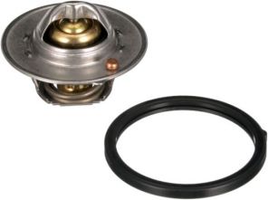 Gates TH64488G1 - Termostat -