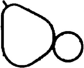 Corteco 450263P - Tesnenie sacieho potrubia