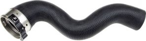 Gates 09-0703 -  -