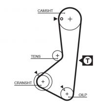 Gates 5110 - Rozvodový remeň