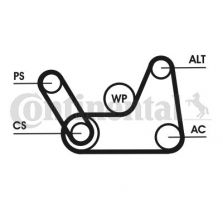 Contitech 6PK1019 ELAST T1 - Sada klinového rebrovaného remeňa -