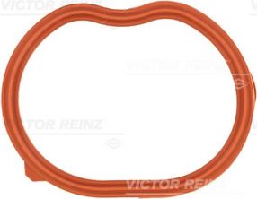 Reinz 71-10227-00 - Tesnenie sacieho potrubia