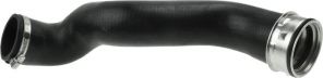 Gates 09-0274 -  -