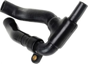 Gates 3810 -  -