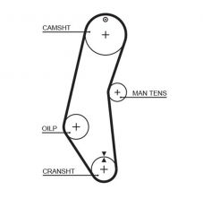 Gates 5018 - Rozvodový remeň