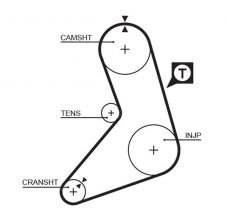 Gates 5079 - Rozvodový remeň