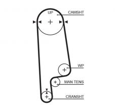 Gates 5236XS - Rozvodový remeň
