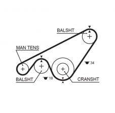 Gates 5243XS - Rozvodový remeň