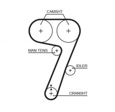 Gates 5336 - Rozvodový remeň