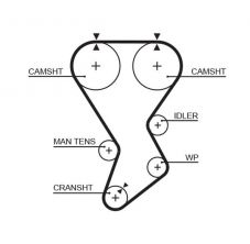 Gates 5351XS - Rozvodový remeň