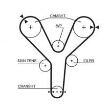 Gates 5377XS - Rozvodový remeň