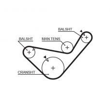 Gates 5456XS - Rozvodový remeň