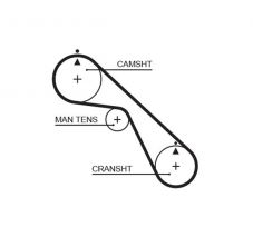 Gates 5530XS - Rozvodový remeň
