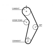 Gates T245RB - Rozvodový remeň