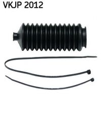 SKF VKJP 2012 -  -