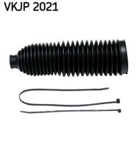 SKF VKJP 2021 -  -