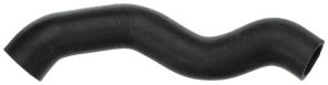 Gates 05-3367 -  -