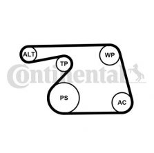 Contitech 6PK1318WP1 -  -
