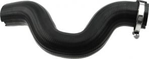 Gates 09-0691 -  -