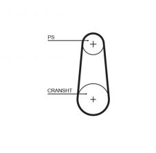 Gates 5383XS - Rozvodový remeň