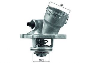 Mahle TM 45 100D - Termostat -