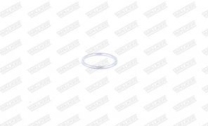 Walker 81162 - Tesnenie -