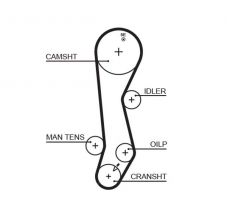 Gates 5389XS - Rozvodový remeň