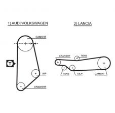 Gates 5031 - Rozvodový remeň