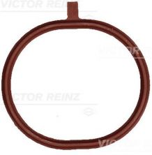 Reinz 71-18362-00 - Tesnenie sacieho potrubia