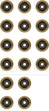Reinz 12-19255-01 -  -
