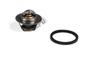 Hepu TM1001 - Termostat