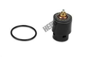 Hepu TM1241 - Termostat
