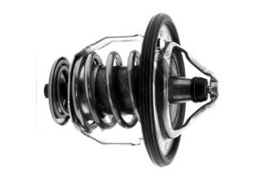 Hepu TM1289 - Termostat