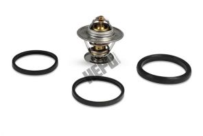 Hepu TM1309 - Termostat