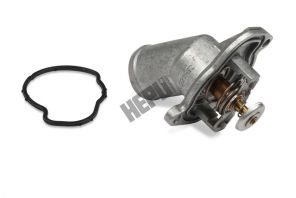 Hepu TM1343 - Termostat