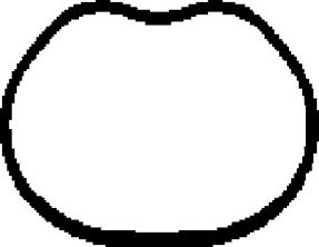 Corteco 450136H - Tesnenie sacieho potrubia