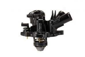 Mahle TM 53 103 - Termostat -