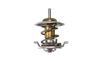 Mahle TX 476 87D - Termostat -