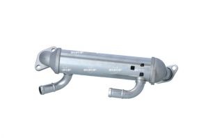 NRF 48380 -  -