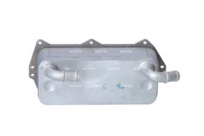 NRF 31856 -  -