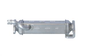 NRF 48455 -  -