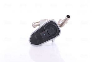 Nissens 98165 - Ventil AGR/EGR -