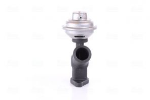 Nissens 98343 - Ventil AGR/EGR -
