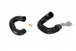 NRF 166229 -  -
