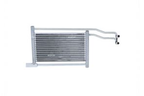 NRF 31137 -  -