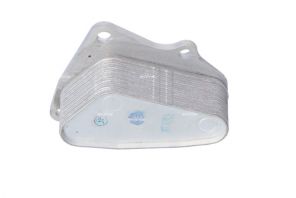 NRF 31823 -  -