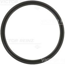 Reinz 71-20033-00 - Tesnenie sacieho potrubia